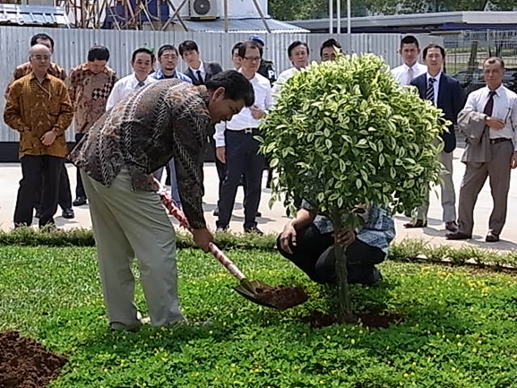 記念植樹3