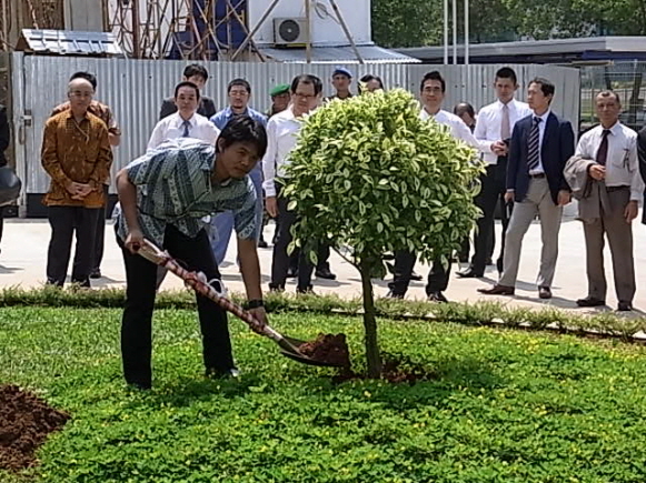 記念植樹7