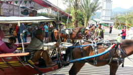 馬車遊園